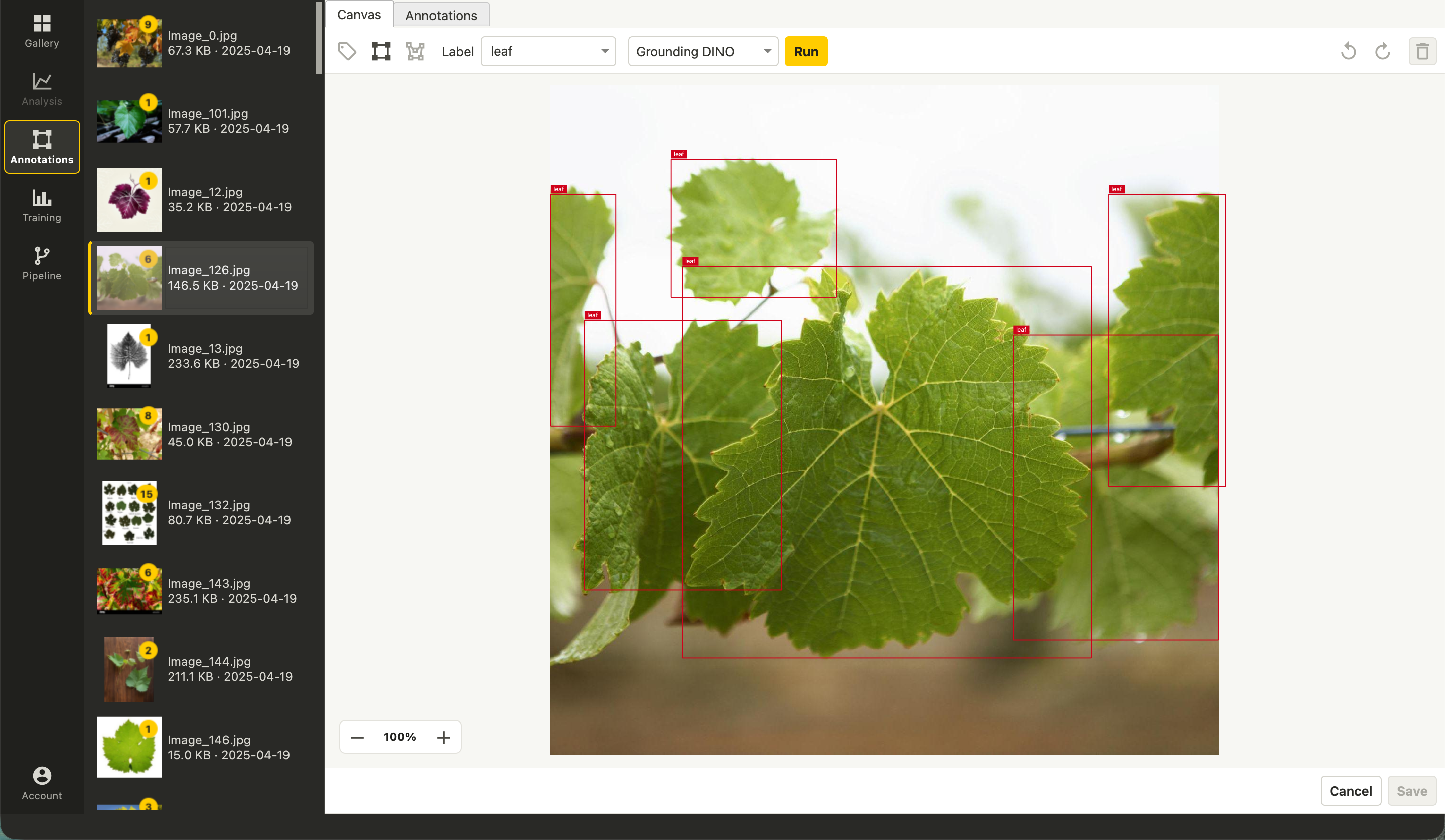 Vision Studio annotation canvas showing labeled leaf objects
