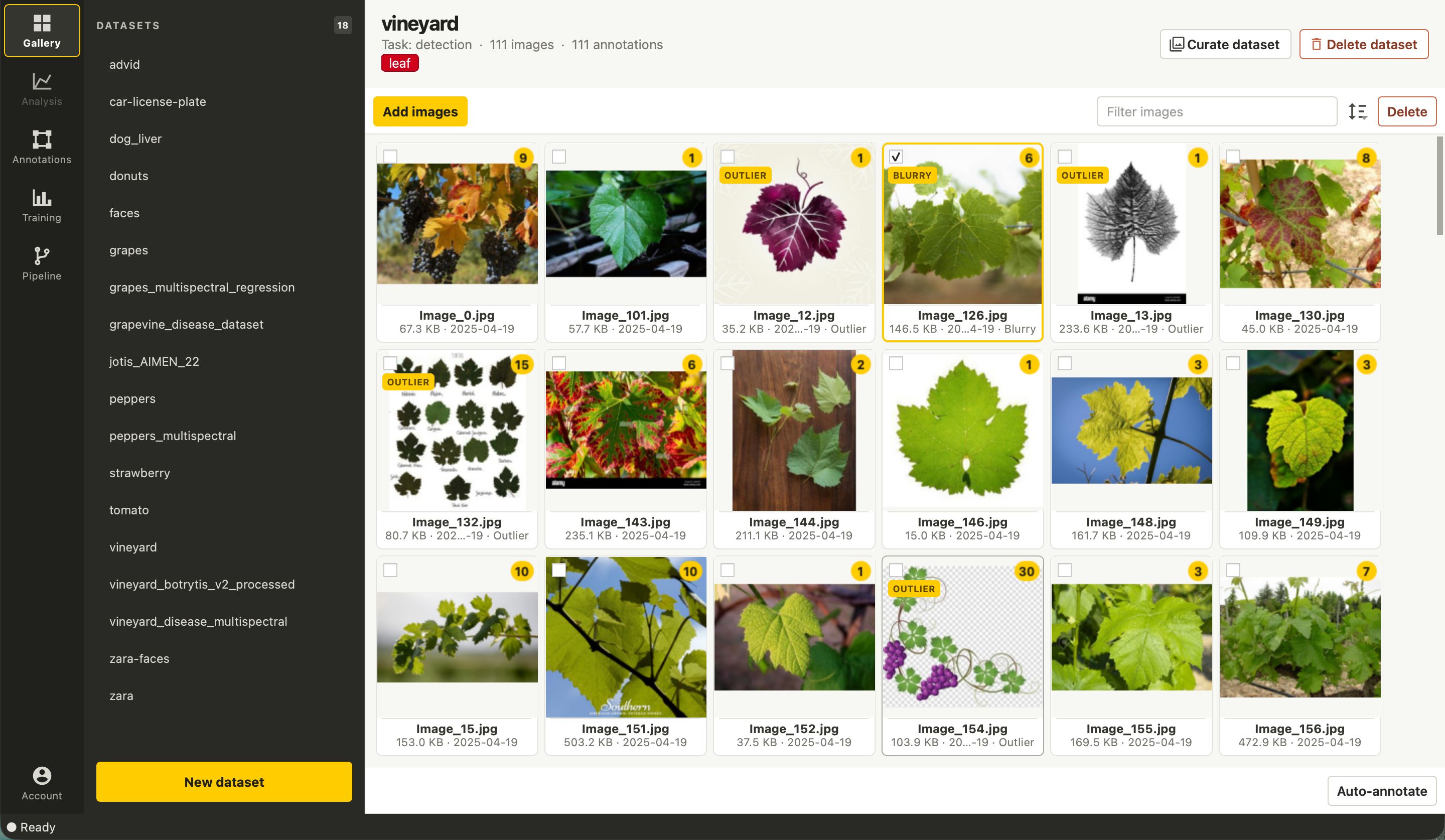 Vision Studio Gallery showing a vineyard image dataset and annotation counts